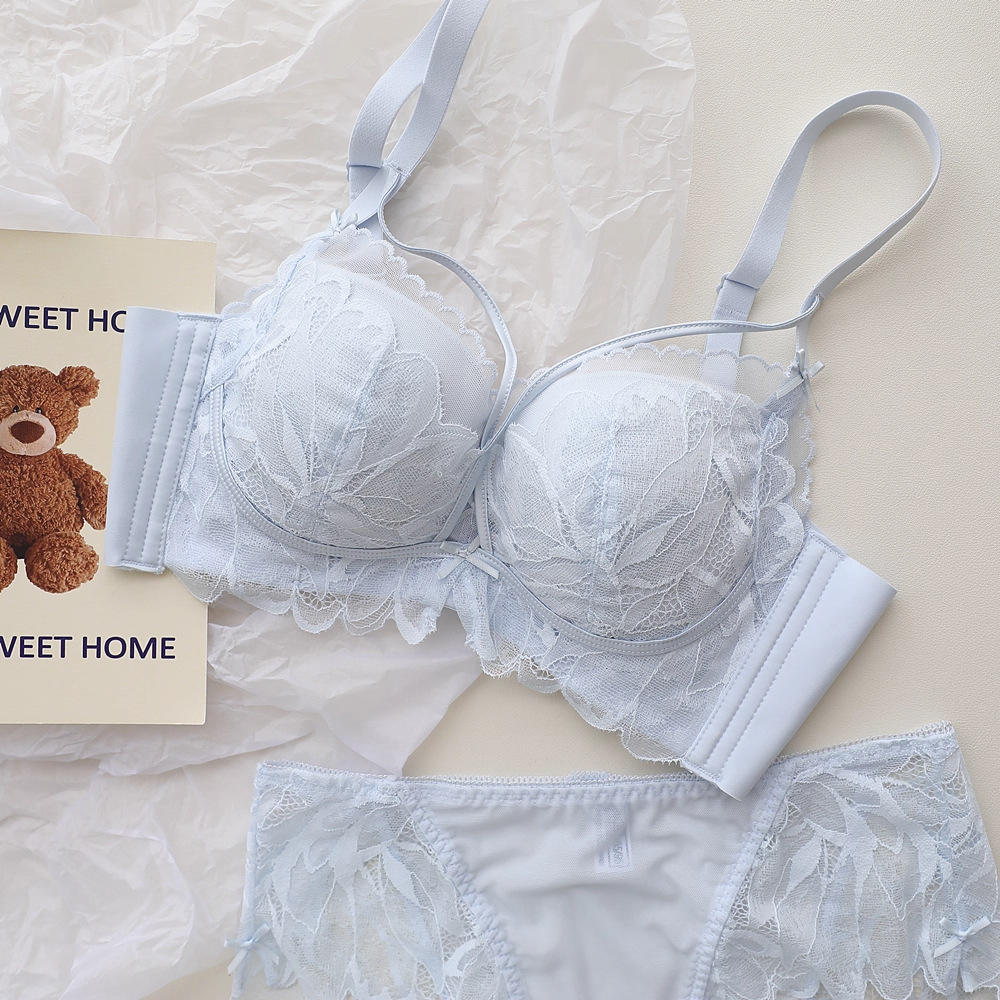프렌치 백 가든 란제리 여성용 작은 가슴을 위한 레이스 - Underwire Bra Padded 리뷰 및 가격